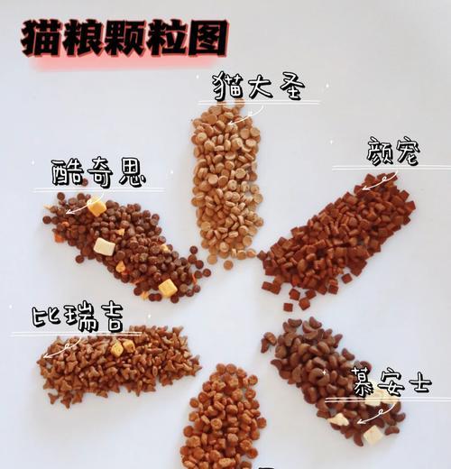 猫粮上出现的“羊毛”是什么？如何处理这种情况以确保猫粮安全？