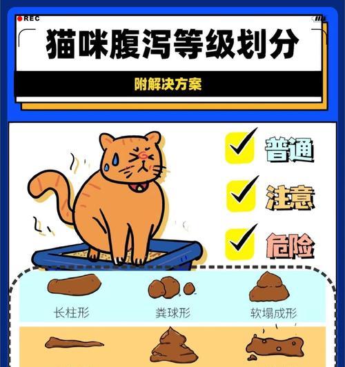 猫咪进食猫粮后不排便是什么原因？如何解决？