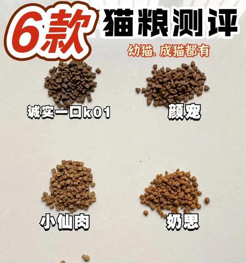短毛黄狸猫偏好的猫粮类型？