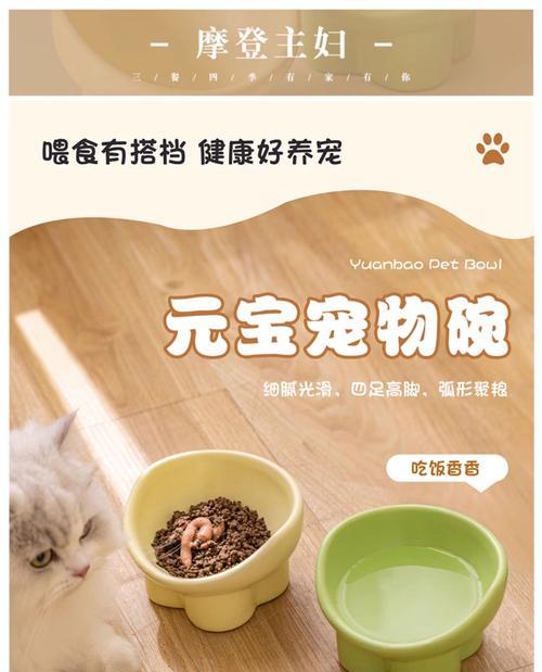 猫守在猫粮碗旁边好吗？这样做有什么影响？