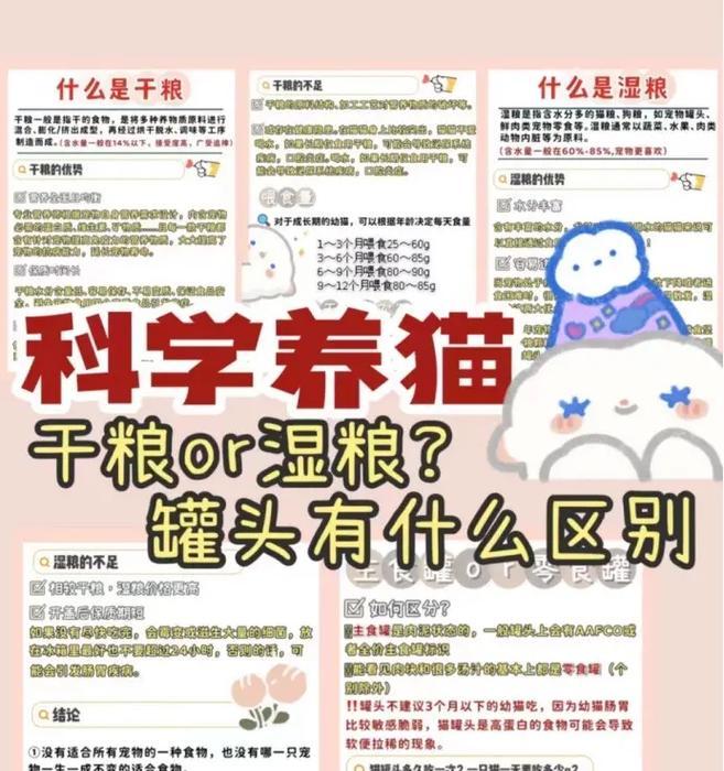 有计划喂食猫粮的猫咪叫什么名字？