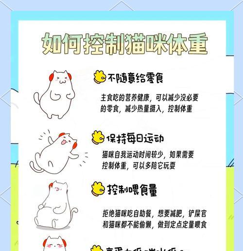 低脂猫粮导致猫咪长胖怎么办？如何调整饮食结构？
