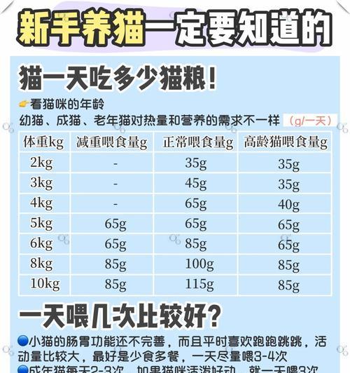 手发胖猫粮怎么？如何选择低热量的猫粮？