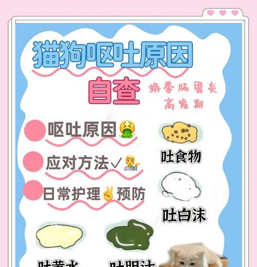 换猫粮导致呕吐如何应对？
