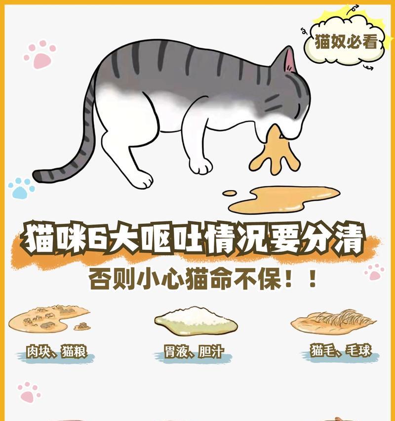 换猫粮导致呕吐如何应对？