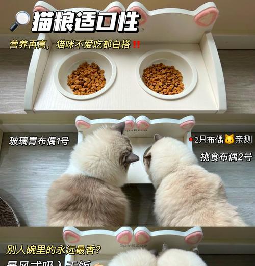 年糕在猫粮里拉屎该如何处理？