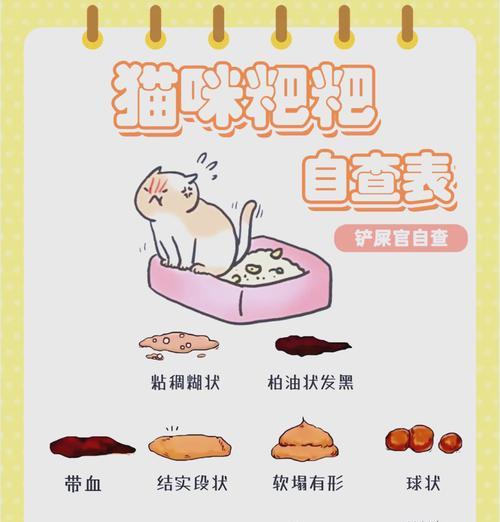 年糕在猫粮里拉屎该如何处理？