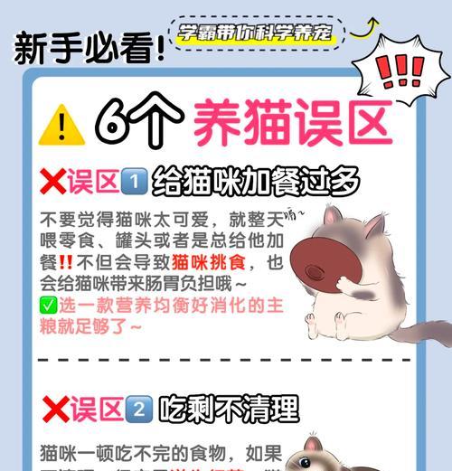 喂流浪猫不吃猫粮怎么处理？如何吸引它们进食？