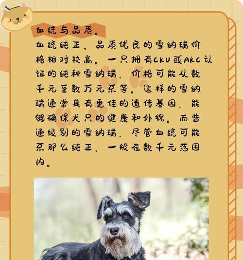 郑州雪纳瑞种犬价格是多少？购买时应注意什么？