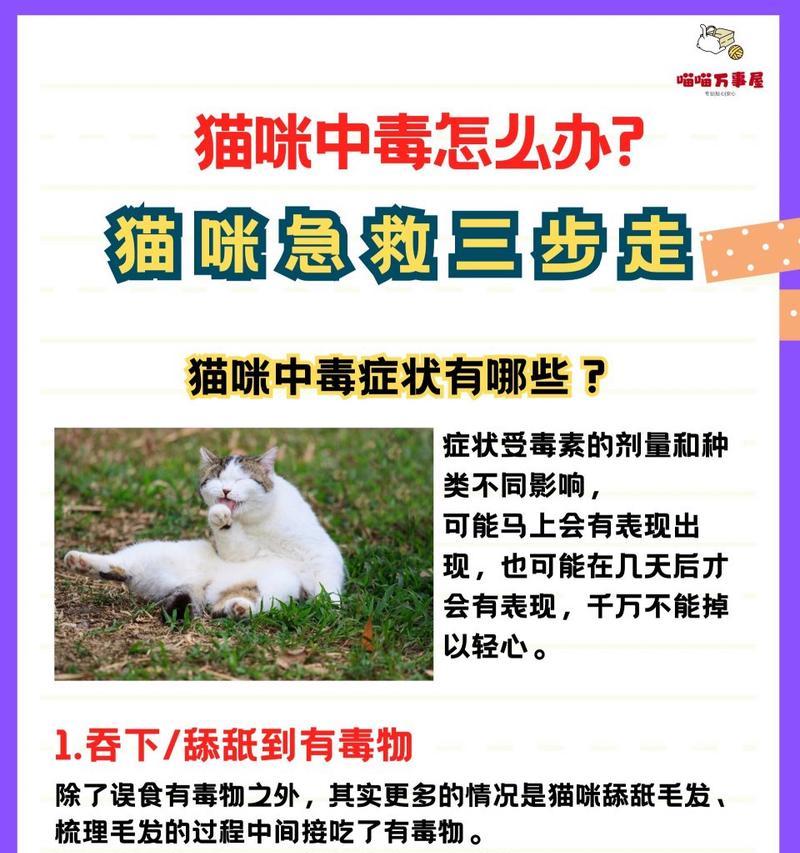 猫粮下毒人吃了什么反应？中毒症状和急救措施是什么？