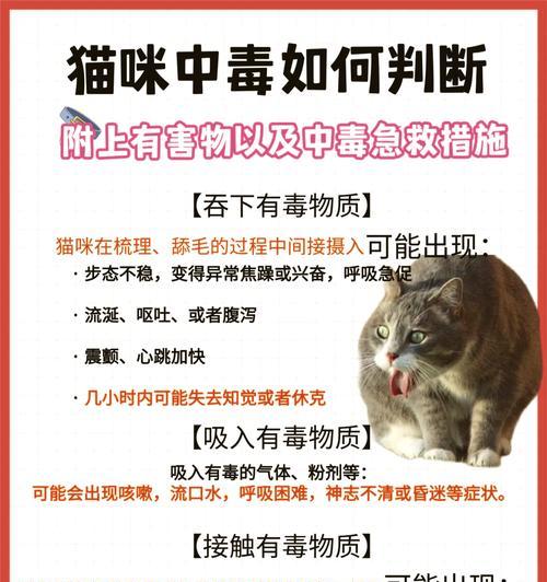 猫粮下毒人吃了什么反应？中毒症状和急救措施是什么？