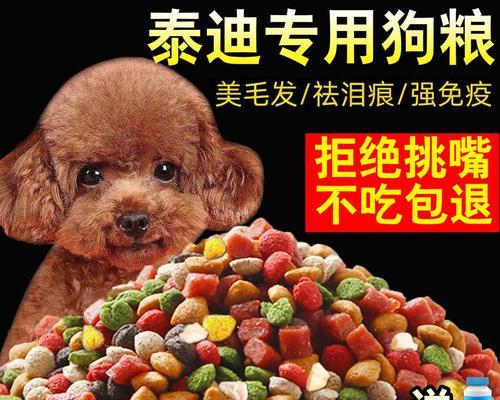 狗子吃狗粮还是米饭？哪种更适合狗狗？
