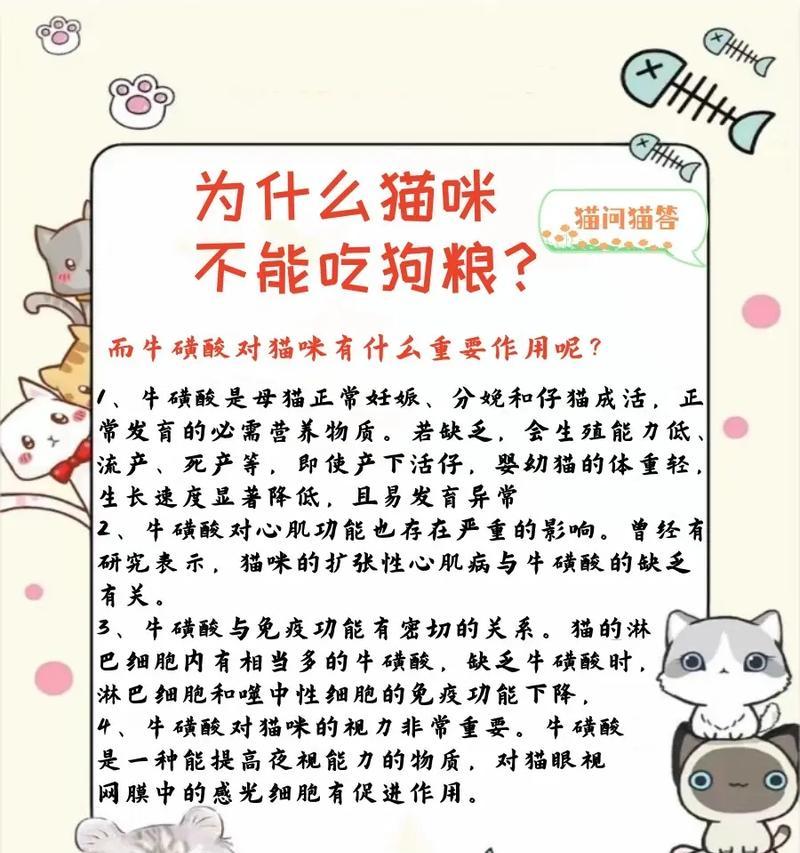 猫咪为何不能吃某些猫粮？