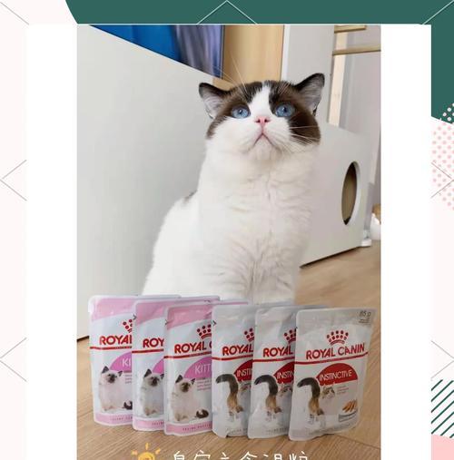 猫湿粮为何黏稠？制作时的秘诀是什么？