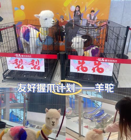 羊驼蛋仔任务的制作方法是什么？
