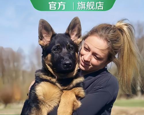 夏津地区德牧价格是多少？