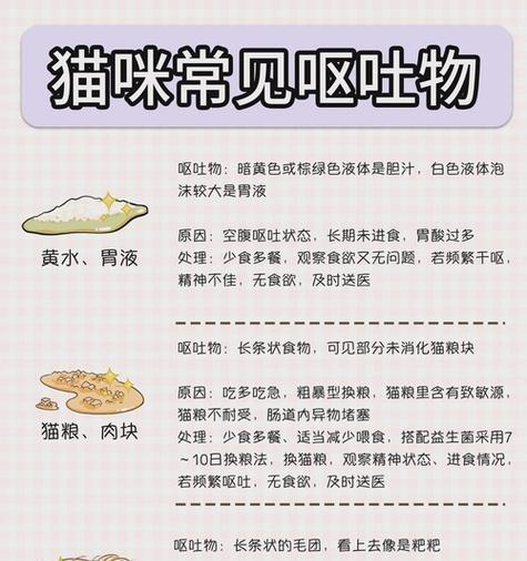 猫咪呕吐猫粮应如何处理？