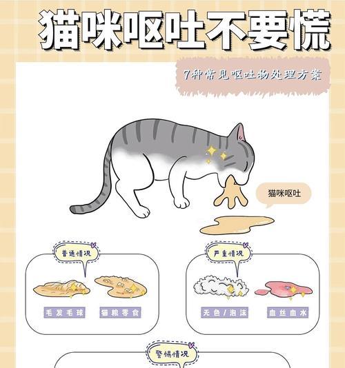 猫咪呕吐猫粮应如何处理？