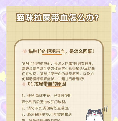 猫咪吃猫粮后拉血是什么原因？