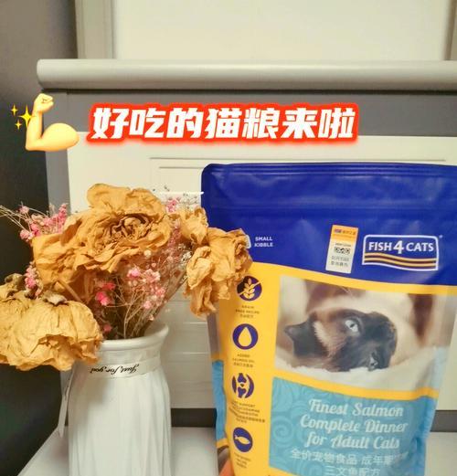 三文鱼猫粮喂食技巧是什么？猫咪会更喜欢吗？