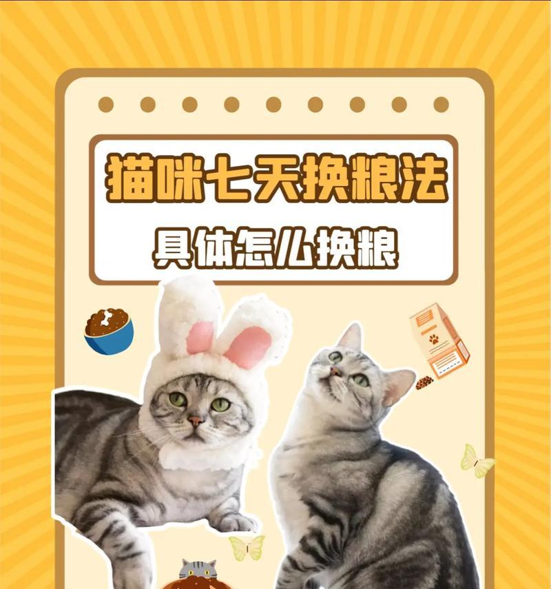 刚换新粮猫不吃怎么办呢？如何让猫咪适应新猫粮？