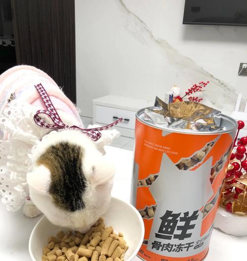干猫粮是否怕热？冬天猫咪应该吃些什么？