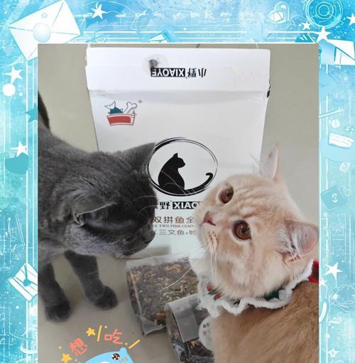 小野鱼偏爱猫粮怎么办？如何防止它们偷吃？