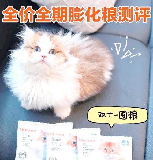 如何辨别膨化猫粮的好坏？