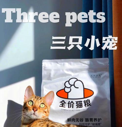 八岁猫咪应该吃什么猫粮？如何选择适合老猫的猫粮？