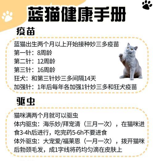 蓝猫突然不吃猫粮是什么原因？应该怎么办？