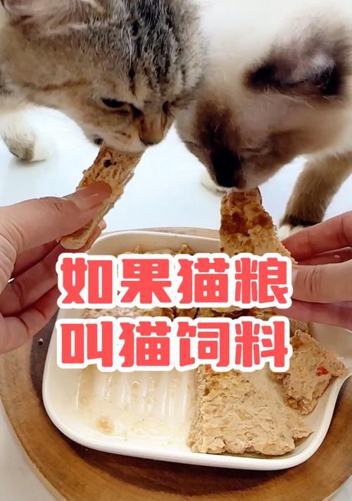 猫刚接触猫粮就叫唤怎么办