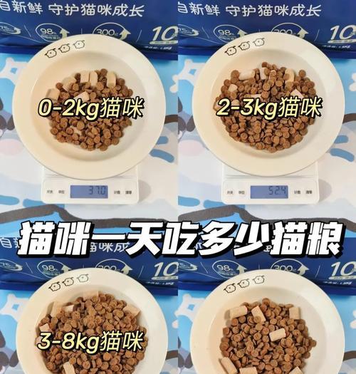 韩国猫咪都吃哪种猫粮？韩国猫粮的特点是什么？