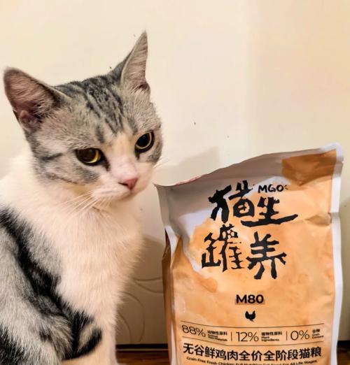 猫粮鸡肉试吃如何制作？试吃猫粮的正确步骤是什么？