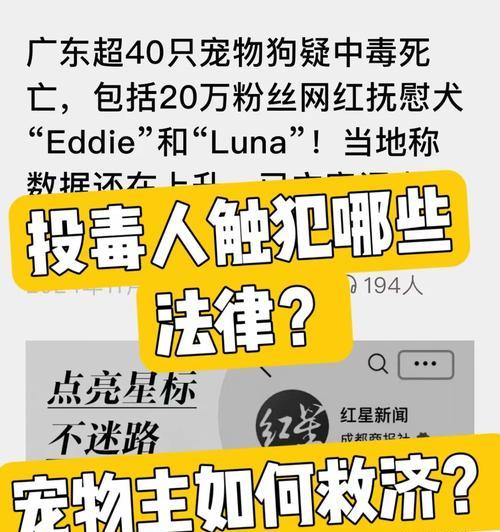 猫粮快递被投毒法律责任如何界定？