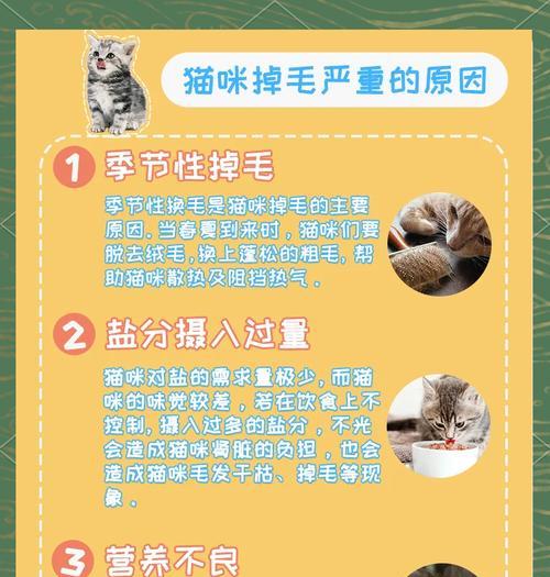 湿猫粮导致猫毛排出问题应如何解决？