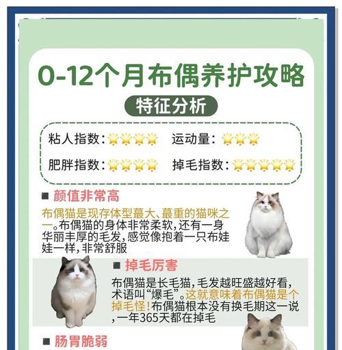 布偶猫心脏健康猫粮的喂食建议？