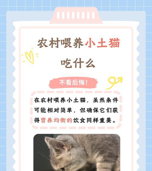 母猫喜欢喂猫粮吗？如果不喜欢应该怎么喂养？