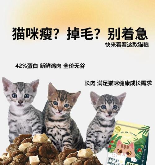 田园白猫吃什么毛亮的猫粮？如何选择有助于毛发健康的食品？
