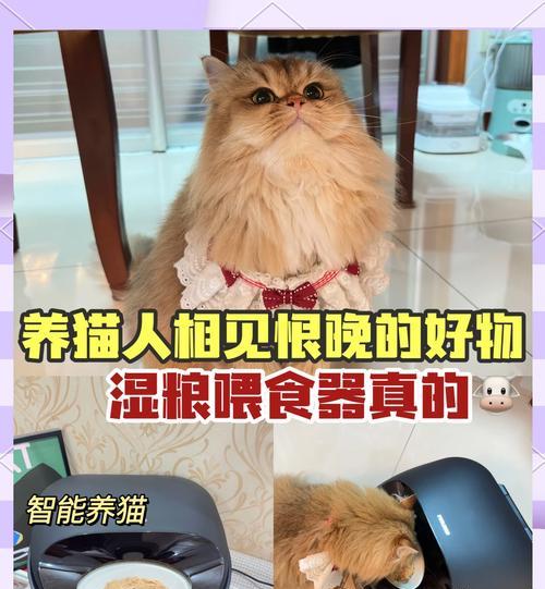 湿猫粮的正确制作和喂食方法是什么？