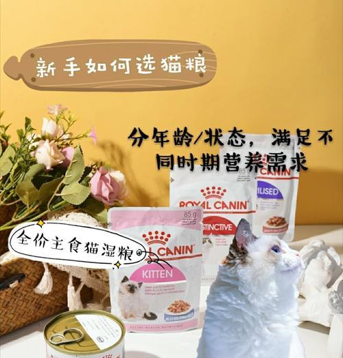 自动湿粮猫食盆的使用方法是什么？