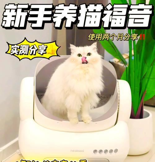 自动湿粮猫食盆的使用方法是什么？