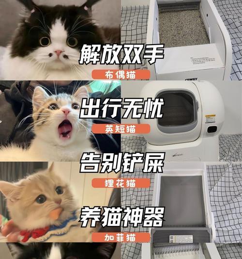 自动湿粮猫食盆的使用方法是什么？