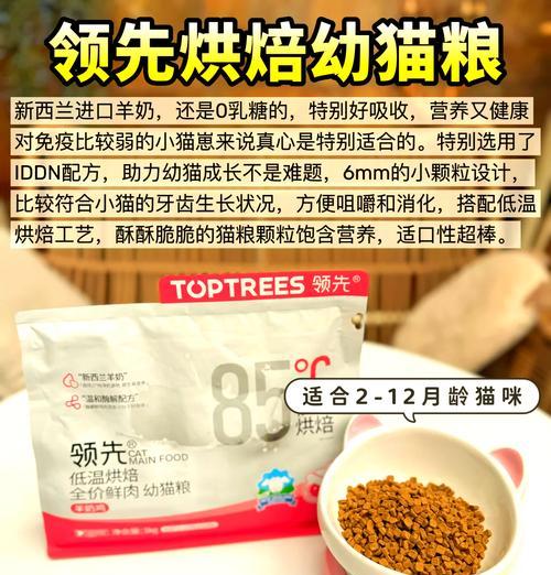 40天小奶猫首次尝试猫粮的正确方法是什么？