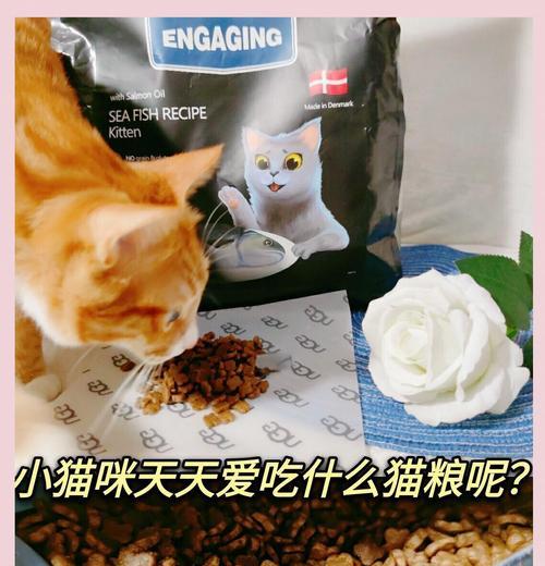 40天小奶猫首次尝试猫粮的正确方法是什么？