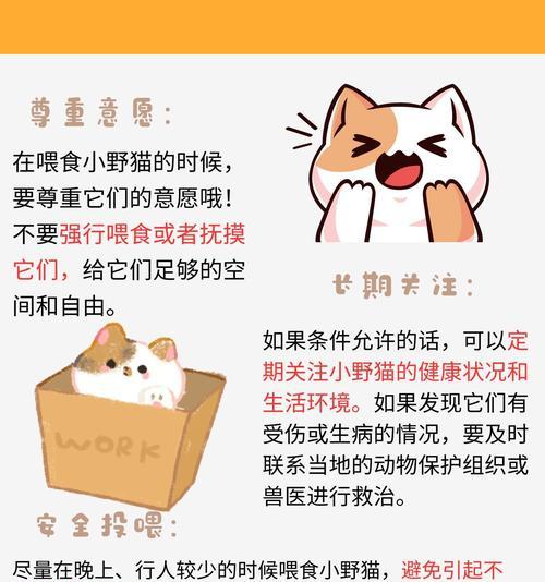 使用猫粮引诱流浪猫会有什么后果？如何正确喂食流浪猫？