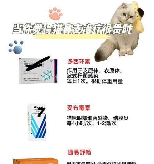 羊驼拉稀带血丝怎么处理？应该用什么药物治疗？
