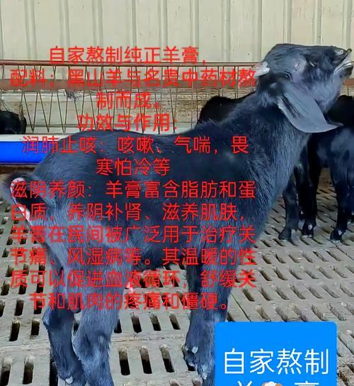 羊驼拉稀带血丝怎么处理？应该用什么药物治疗？