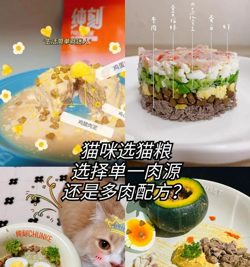 猫粮怎么掺肉泥？自制猫粮的正确方法是什么？