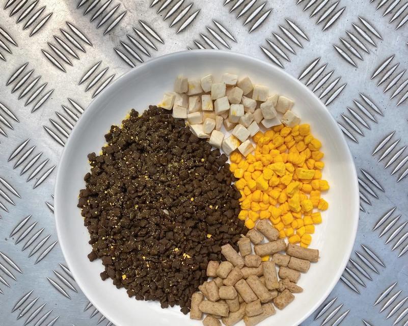 猫粮怎么掺肉泥？自制猫粮的正确方法是什么？