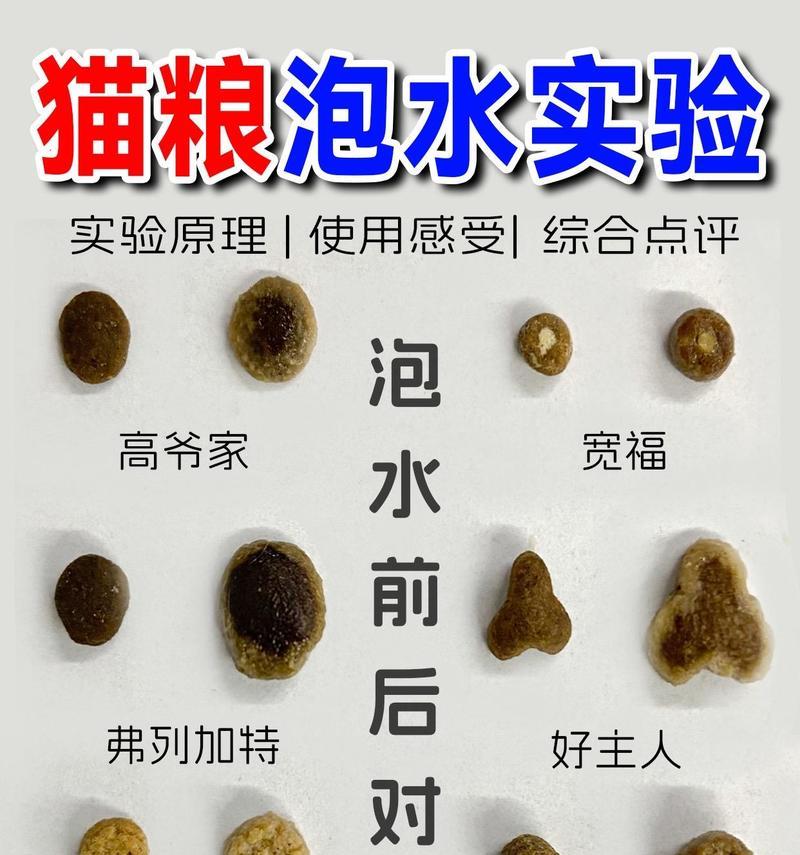街猫吃泡了水的猫粮会怎么样？泡水猫粮对猫咪健康的影响是什么？